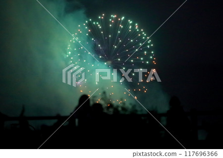 Fireworks Festival (2024 Edogawa Ward Fireworks Festival) 117696366