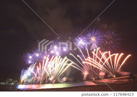 Fireworks bursting into the night sky 117696423