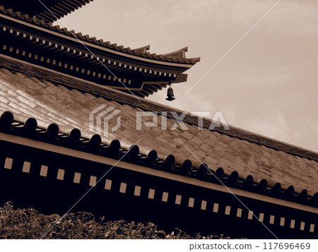 淺草寺、花屋敷、鳩 淺草寺、花屋敷、鳩 117696469