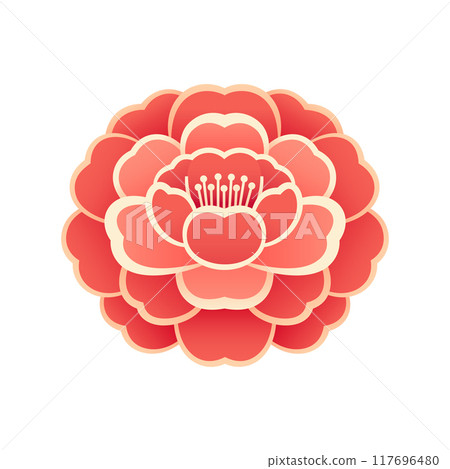 Camellia vector illustration isolated on white Camellia vector illustration isolated on white 117696480