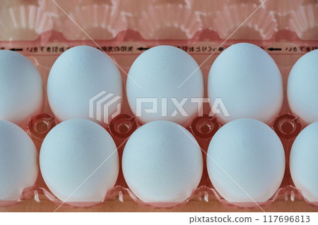 An egg 117696813
