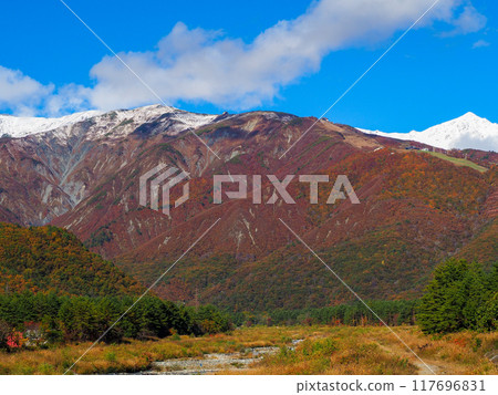 秋天的山脈和白雪皚皚的北阿爾卑斯山，長野屋白馬村 117696831