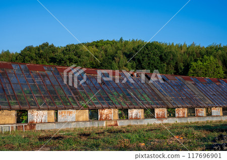 Japan's old and very beautiful building Japan's old and very beautiful building 117696901