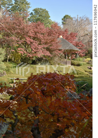 秋天的橫光園地藏院 117696942