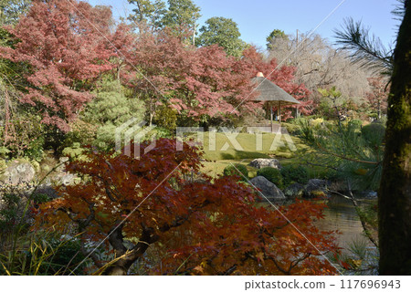 秋天的橫光園地藏院 秋天的橫光園地藏院 117696943