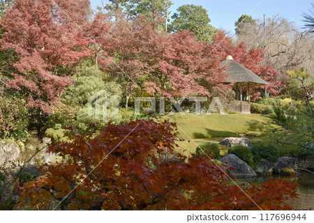 秋天的橫光園地藏院 117696944