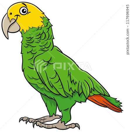 cartoon yellow headed Amazon parrot bird animal character cartoon yellow headed Amazon parrot bird animal character 117696945