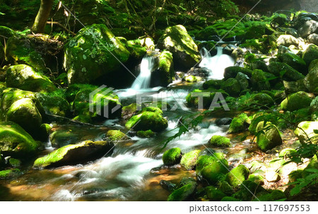 長滿苔蘚的岩石和清澈的溪流 長滿苔蘚的岩石和清澈的溪流 117697553