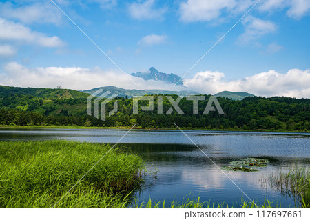 Otatomari marsh 117697661