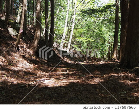 總公司鐮丸山路 總公司鐮丸山路 117697666