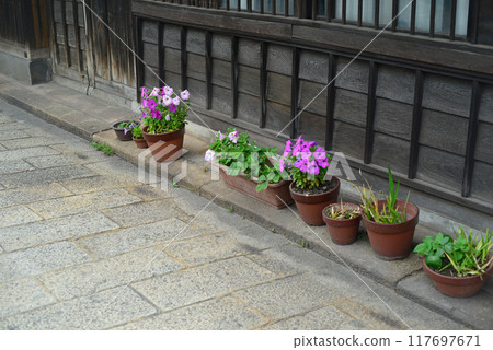 鞆之浦町步行30 鞆之浦町步行30 117697671