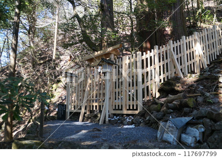 Tamaki Shrine/Tamaishisha 117697799