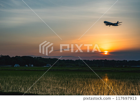 Airplane landing at dusk 117697913