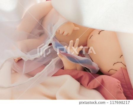 In the mother's womb 117698217