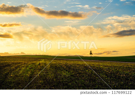 [北海道/美瑛]夏季拼湊之路 117699122