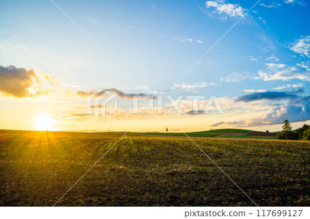 [北海道/美瑛]夏季拼湊之路 117699127