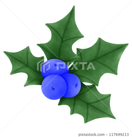 christmas holly blue berry christmas holly blue berry 117699213