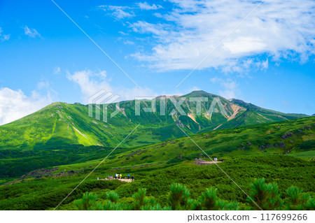 [Hokkaido • Daisetsuzan] Asahidake in summer 117699266