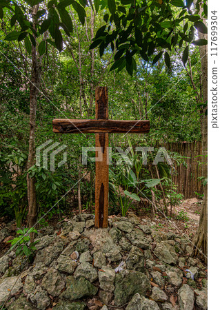 Sacred Sanctuary of Mary in the Heart of the Cancun Jungle Sacred Sanctuary of Mary in the Heart of the Cancun Jungle 117699304