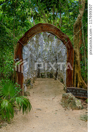 Sacred Sanctuary of Mary in the Heart of the Cancun Jungle 117699307