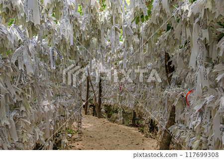 Sacred Sanctuary of Mary in the Heart of the Cancun Jungle Sacred Sanctuary of Mary in the Heart of the Cancun Jungle 117699308