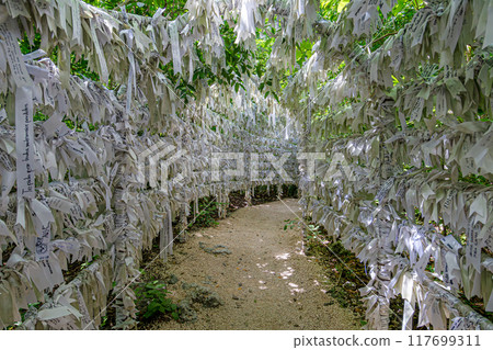 Sacred Sanctuary of Mary in the Heart of the Cancun Jungle 117699311