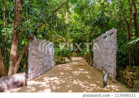 Sacred Sanctuary of Mary in the Heart of the Cancun Jungle 117699331