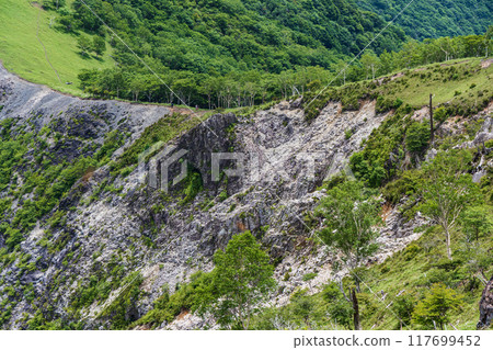 中倉登山 中倉登山 117699452