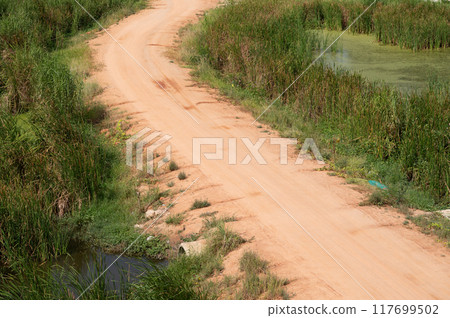 Grass is on both side of red dirt road. 117699502