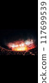 舞台 117699539
