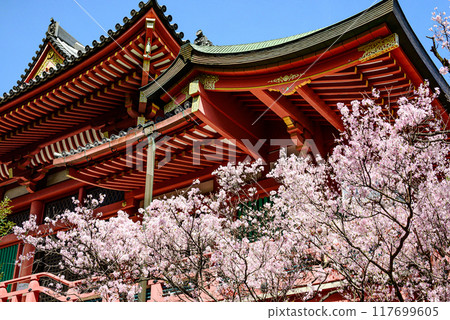 Meguro Fudoson Temple decorated with cherry blossoms 117699605