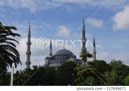 Sultanahmet Camii in Istanbul, Turkey 117699671