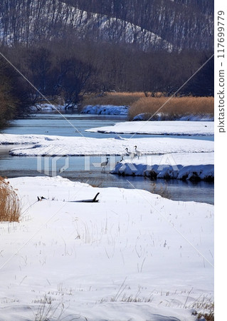 北海道鶴居村由希佐川風景 北海道鶴居村由希佐川風景 117699779