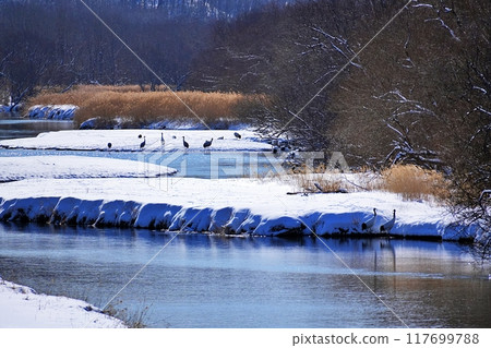 北海道鶴居村由希佐川風景 北海道鶴居村由希佐川風景 117699788