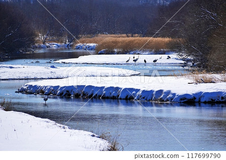 北海道鶴居村由希佐川風景 北海道鶴居村由希佐川風景 117699790