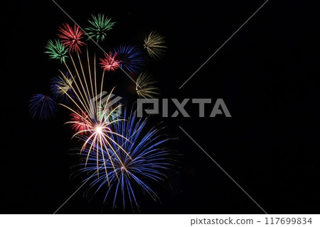 開花在夜空的煙花 117699834