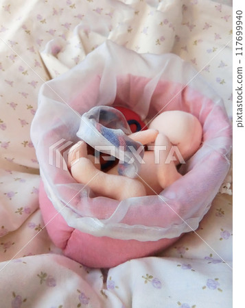 Baby, fetus doll Baby, fetus doll 117699940
