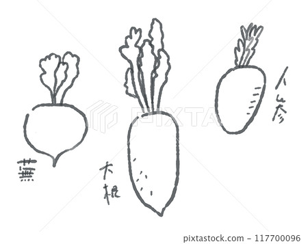 簡單的根莖類蔬菜線描插圖集（單色） 117700096