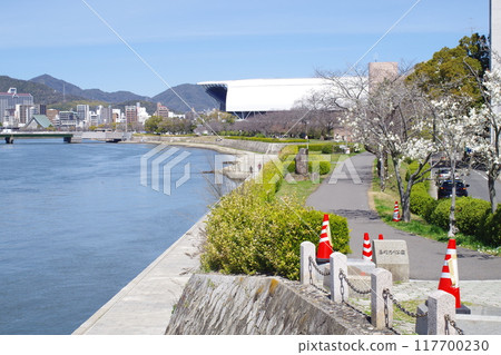 Scenery along the Ota River in Hiroshima 117700230