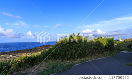 Summer in Jogashima, Miura City, Miura Peninsula 117700923