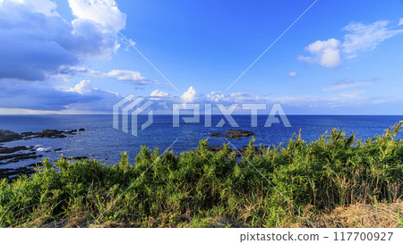 Summer in Jogashima, Miura City, Miura Peninsula 117700927
