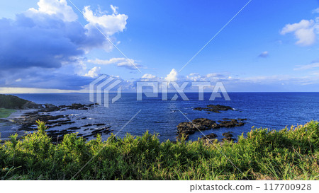 Summer in Jogashima, Miura City, Miura Peninsula 117700928
