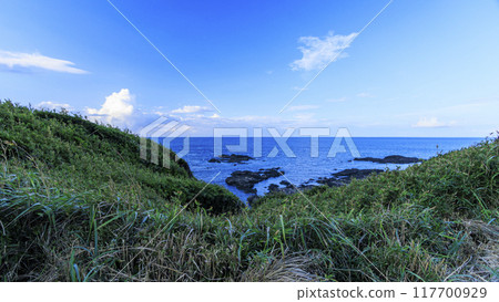 三浦半島三浦市城島的夏天 117700929