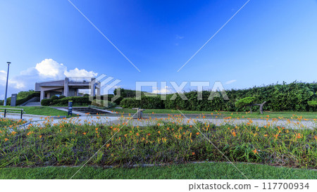 三浦半島三浦市城島的夏天 三浦半島三浦市城島的夏天 117700934