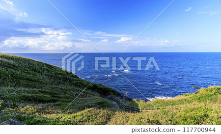 Summer in Jogashima, Miura City, Miura Peninsula 117700944