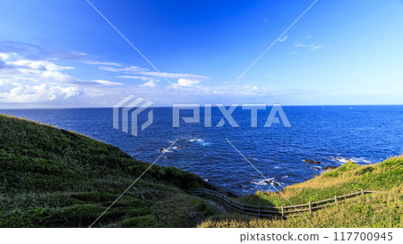 Summer in Jogashima, Miura City, Miura Peninsula 117700945