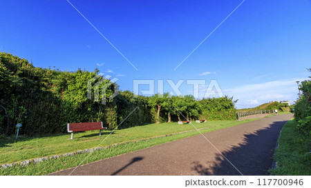 Summer in Jogashima, Miura City, Miura Peninsula Summer in Jogashima, Miura City, Miura Peninsula 117700946