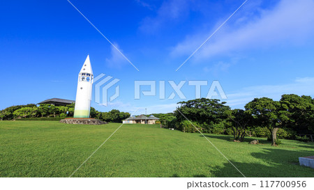 Summer in Jogashima, Miura City, Miura Peninsula Summer in Jogashima, Miura City, Miura Peninsula 117700956