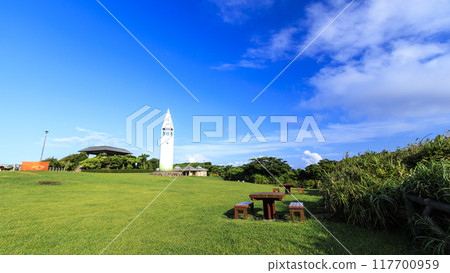 Summer in Jogashima, Miura City, Miura Peninsula 117700959