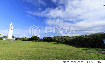 Summer in Jogashima, Miura City, Miura Peninsula 117700960